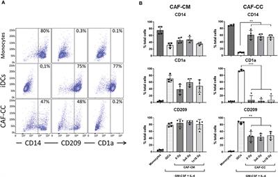 Ionizing Radiation Curtails Immunosuppressive Effects From Cancer-Associated Fibroblasts on Dendritic Cells